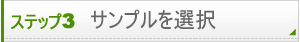 ステップ3 サンプル選択